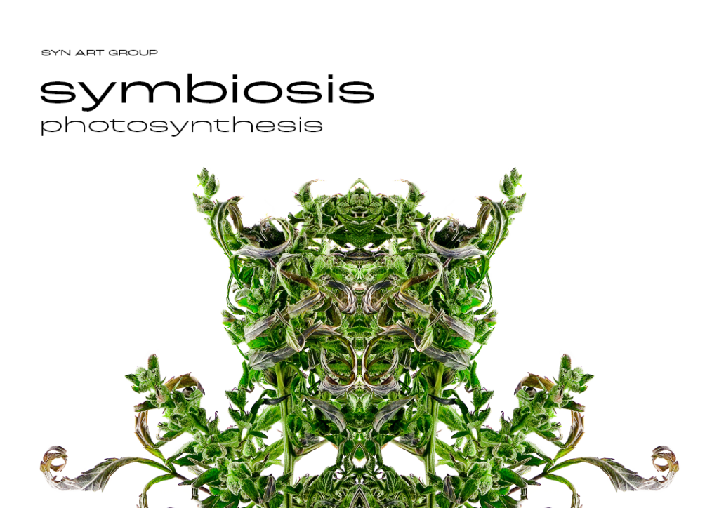 SYN Art Group-Photosynthesis Symbiosis